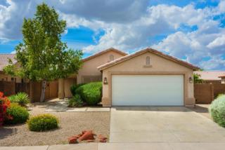 9355 Runion Dr, Peoria, AZ 85382-5215