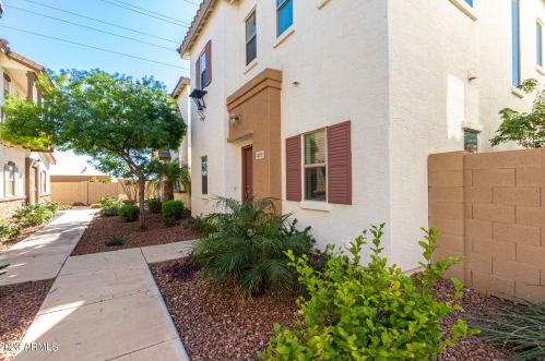 4701 Olney Ave, Gilbert AZ  85234-7838 exterior