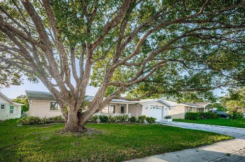 7831 Raintree Dr, New Port Richey, FL 34653-2221