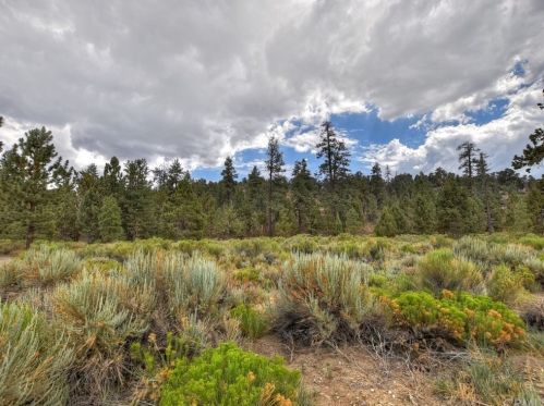 1556 Shay Rd, Big Bear City CA  92314-9180 exterior