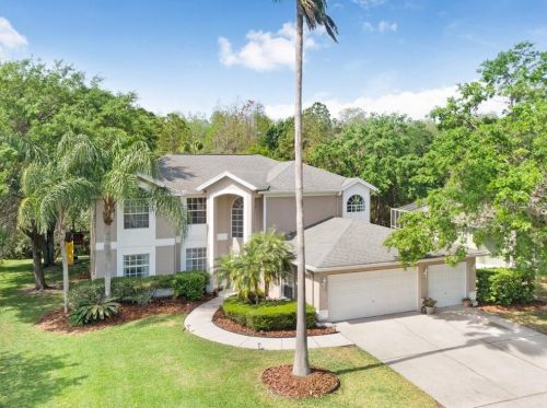 18525 Bittern Ave, Lutz, FL 33558-2741