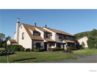1003 Swan Hollow Rd, Monroe, NY 10950-5111