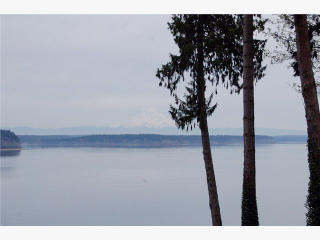 9906 Johnson Point Rd, Olympia, WA 98516-9339