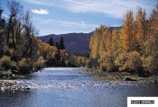 2340 Idlewild Dr, Reno, NV 89509-8104