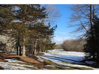 1038 Heritage Vlg, Southbury, CT 06488-1419