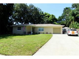 501 Pheasant Pl, Brandon, FL 33510-3316