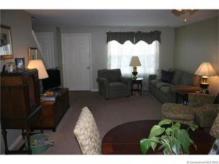 25 Meadowrue Dr, Glastonbury CT  06033-1254 exterior