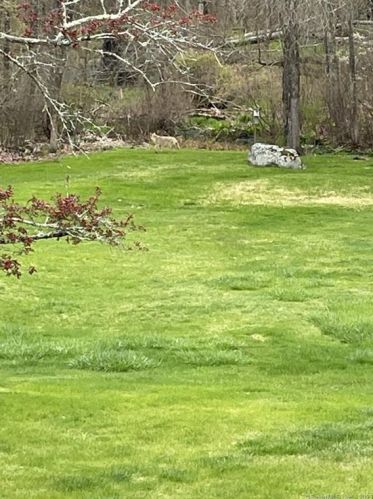 52 Linnell St, Moosup CT 06354-1214 exterior