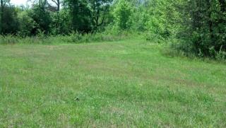 1005 Elsborn Ridge Rd, Maryville, TN 37801-9328