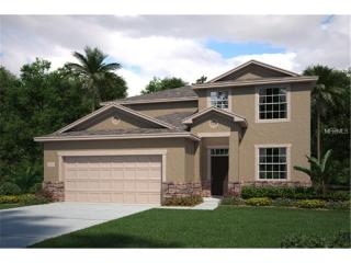 15410 Dakota Sky Pl, Ruskin, FL 33573-0192