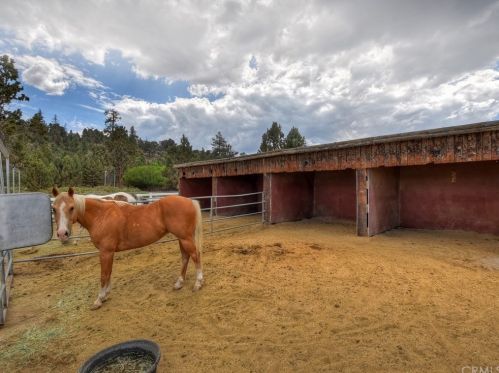 1556 Shay Rd, Big Bear City CA  92314-9180 exterior