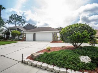 4778 Stonebriar Dr, Oldsmar, FL 34677-4862