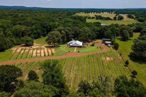 6540 County Road 3600, Brownsboro, TX 75756-6768
