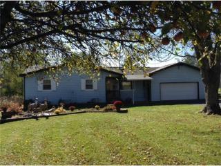 5794 Merwin Chase Rd, Yankee Lake, OH 44403-9763