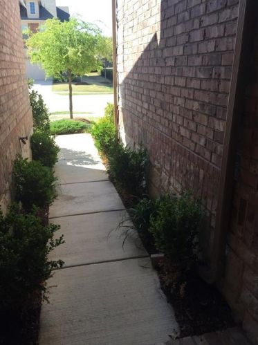 375 Dublin St, Lewisville TX  75067-6723 exterior