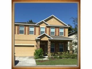 1713 Alhambra Crest Dr, Ruskin, FL 33570-7919