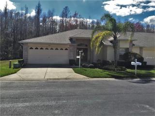 1525 Arlington Oaks Ct, New Port Richey, FL 34655-7226