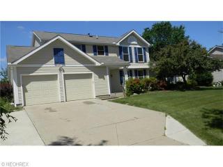 344 Broken Fence Dr, Medina, OH 44256-3307
