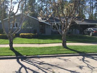 3904 Bernard St, Spokane WA  99203-1512 exterior