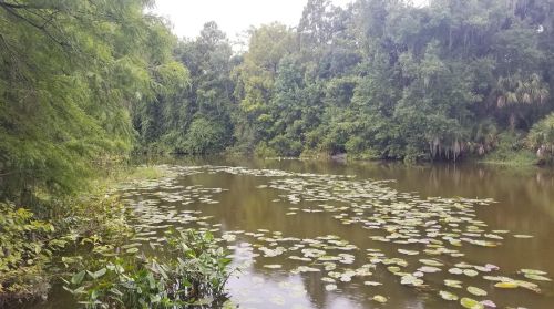 8871 Lake Marion Creek Rd, Grenelefe, FL 33844-2004