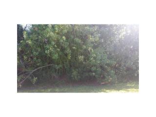 1436 Seahouse St, Sebastian, FL 32958-6042