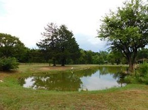 10070 Private Road 2333, Quinlan, TX 75474-8230