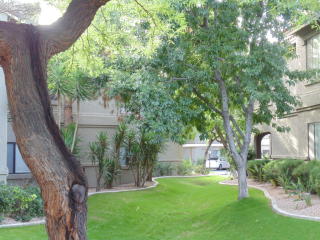 15380 100th St, Scottsdale AZ  85260-3886 exterior