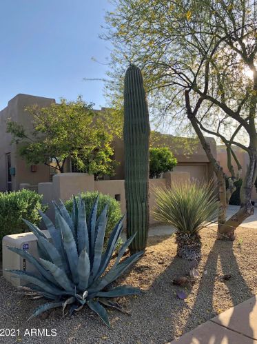 9587 Kiisa Dr, Scottsdale, AZ 85262-1125