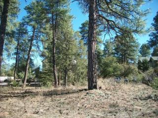 807 Payson Pkwy, Payson, AZ 85541-4284