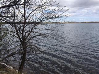 202 County Road 10, Barrett MN  56311-4510 exterior