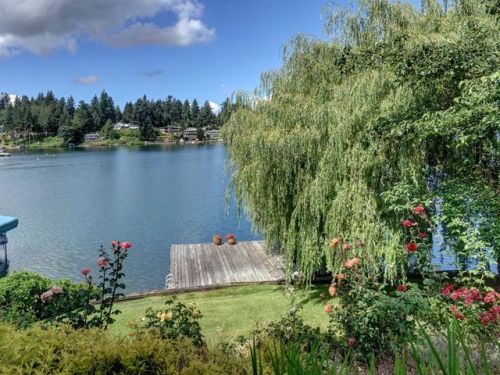 10906 Meadow Rd, Lakewood, WA 98499-1316