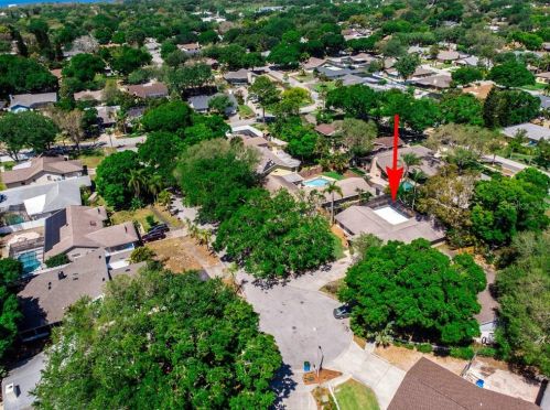 1163 Ridgecrest Ct, Palm Harbor FL  34683-2732 exterior