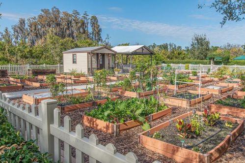 15806 Aurora Lake Cir, Wimauma FL  33598-4031 exterior