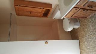 17506 Grovewood Ave, Cleveland OH  44119-3165 exterior