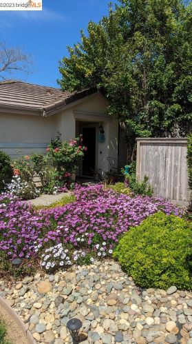 3905 Riviera Ln, Elk Grove, CA 95758-4621