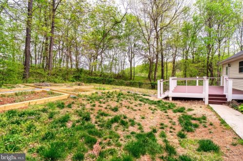 13377 Westwood Ln, Madison Mills VA  22960-1958 exterior