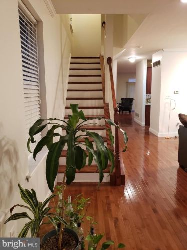 921 Gorgas Ln, Philadelphia, PA 19150-3508