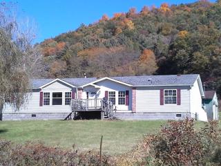 356 Halsey Valley Rd, Barton, NY 13734-1511