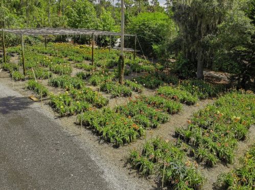 1240 Enterprise Osteen Rd, Deltona FL  32725-9401 exterior