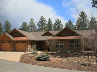 106 Kenosha Ct, Durango CO  81301-7839 exterior