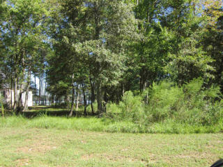 117 Anchorage Ln, Batesburg-Leesville, SC 29070-7050