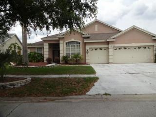 7205 Colonial Lake Dr, Riverview, FL 33578-8351