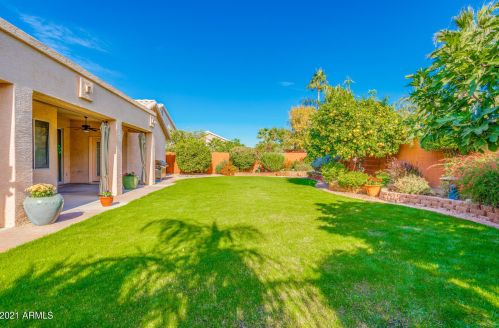 15601 11 Ave, Phoenix AZ 85021-4407 exterior