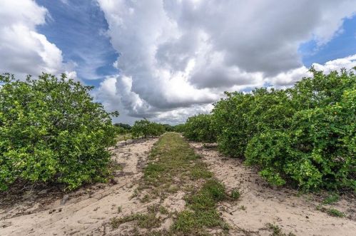 3646 Ellington Ave, Sebring FL  33870-5407 exterior