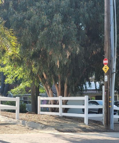 2435 Deland Dr, Alpine CA  91901-3192 exterior