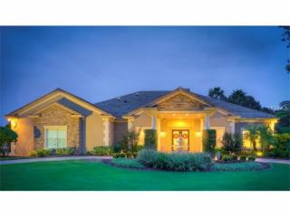 2519 Wildlife Run, Lutz, FL 33559-7348