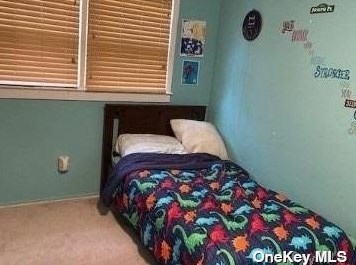 6 Peter Ct, Huntington Station NY  11746-4500 exterior