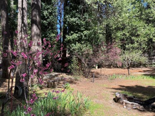 6592 Imperial Way, Nimshew CA  95954-9367 exterior