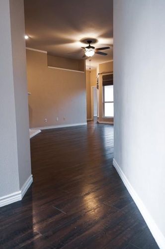 1624 Lake Travis Dr, Allen TX  75002-9200 exterior