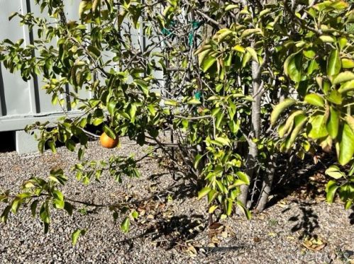 16495 Bernardo Oaks Dr, San Diego CA  92128-2842 exterior